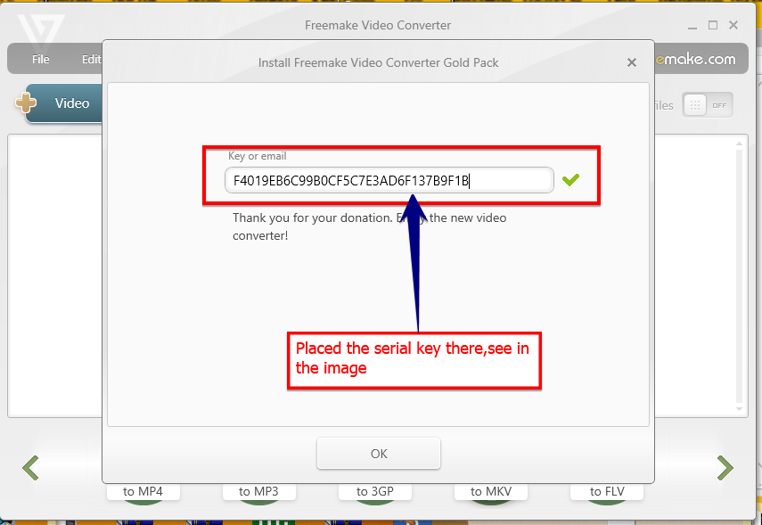 Freemake video downloader serial key
